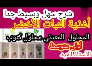  أغذية النبات الخضر النشاط 2 المحلول المعدني محلول كنوب أولى متوسط الجيل الثاني 2022 2021