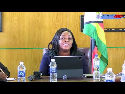 Breakingnews Minister Mavetera Announces New Potraz Board