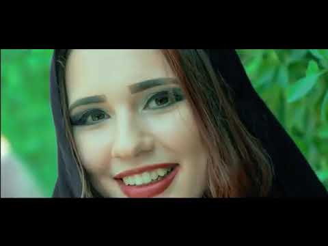 كوكب الصعيد محمود سليم اغنيه العبايه السوده