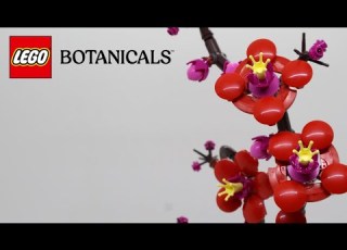 LEGO Botanicals Plum Blossom 10369 Stop Motion Build