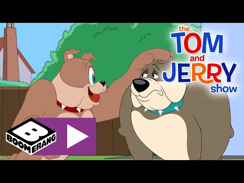 The Tom And Jerry Show New Dog Boomerang UK