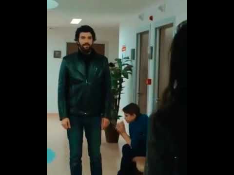 فاضل شاكر معقول