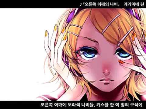 우견의 나비 모음 카가미네 린 우견의 나비 오른쪽 어깨의 나비 우견의 나비 모음 카가미네 린 우견의 나비 오른쪽 어깨의 나비