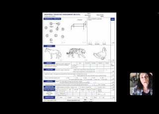  Cognitive Decline MoCA Test