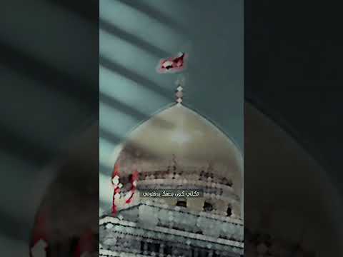 ضلت بلا فاتحة عمار الكناني ستوري 4K