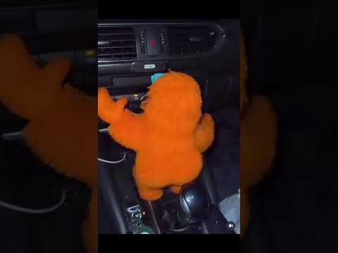 اديته بالبوكس أنا الحكومه رورو البلد اديته بالبوكس أنا الحكومه رورو البلد