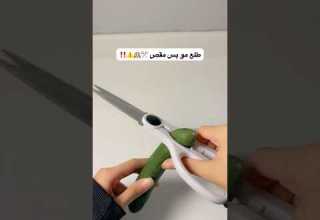 Funny Song ترند Shortvideo أفكار إبداعية اكسبلور فكرتين Humor افكارينو مايكاب Shorts