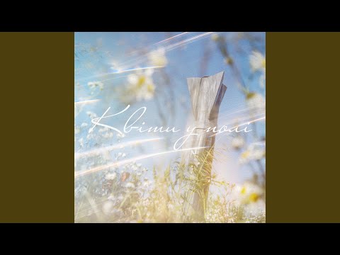 Квіти у полі