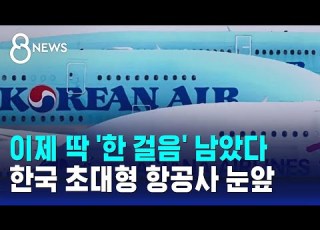이제 딱 한 걸음 남았다 초대형 항공사 탄생 득실은 SBS 8뉴스