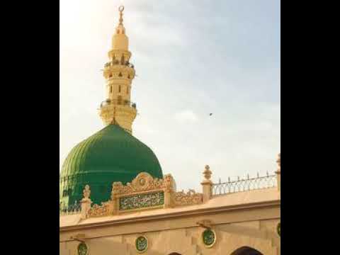 ألشيخ سليمان ود أحمد 0 الدنيا سيبا ألشيخ سليمان ود أحمد 0 الدنيا سيبا