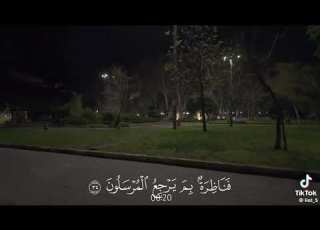  قالت إن الملوك إذا دخلوا قرية افسدوها وجعلوا أعزة اهلها اذلة وكذالك يفعلون الشيخ ياسر الدوسري