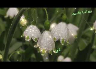  حب وأمان أغنية عن النور والسلام الداخلي Love Peace Official Visual Video