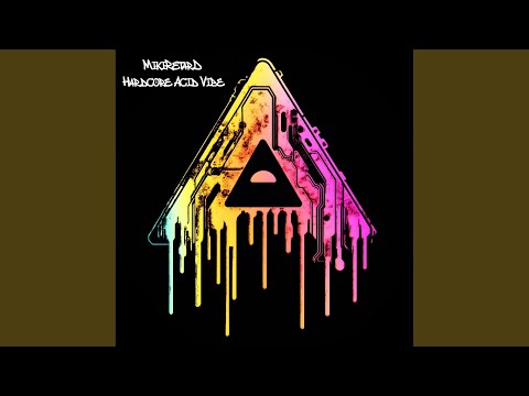 Hardcore Acid Vibe
