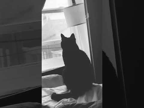 No One Comes Before My Baby S This Is Their Home And My Kids Feel The Same Way Notwelcome Skat