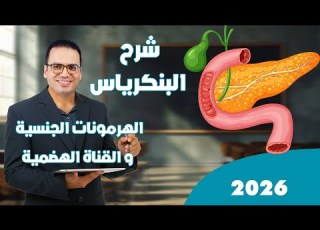  شرح الهرمونات للصف الثالث الثانوى 2026 البنكرياس الهرمونات الية هرمونات القناة الهضمية