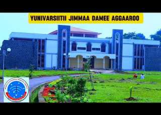  Hawwattummaa Yunivarsiitii Jimmaa Kaampaasii Aggaaroo
