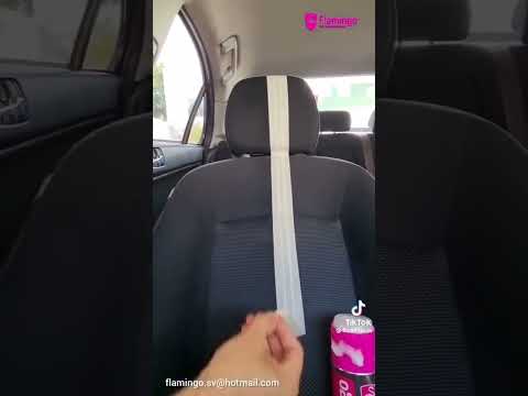 Flamingo Foam Cleaning Deference