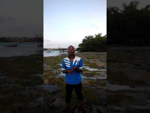 Mbosso Tamu Official Music Audio