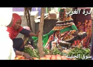  درة الغرب مدينة الجنينة حيث الجمال والطبيعه