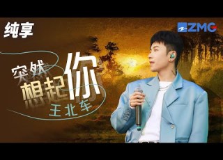 情不自禁跟着唱 王北车 突然想起你 太好听 纯享 ZJSTV Music Live