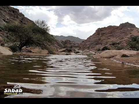 فهد عبدالمحسن مثل الذهب
