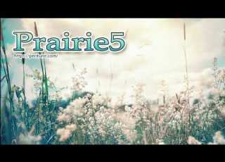  無料フリーBGM 草原を駆け抜ける戦闘曲 Prairie5