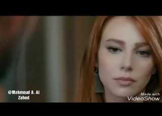 انتي وبس ايمن امين