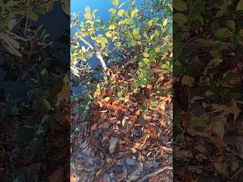 They Don T Care About What You Going Through