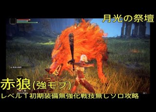 エルデンリング 月光の祭壇 赤狼 強モブ レベル１初期装備無強化戦技無しソロ攻略 ELDENRING