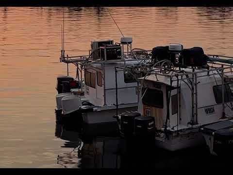 ياريتك مش رايح ياريتك فيروز بدون موسيقى