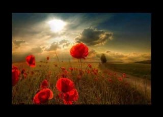  Devotion Tracy Chapman Lyrics