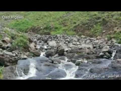 وادي الضباب مائك غزير سكاب نصك سيول ونص دمع لحباب الفنان الكبير ايوم طارش وادي الضباب مائك غزير سكاب نصك سيول ونص دمع لحباب الفنان الكبير ايوم طارش