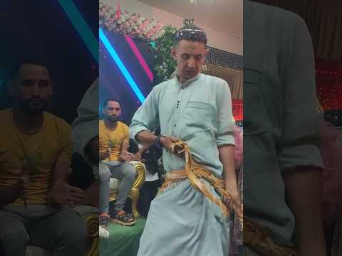 على طبلة ابو محسن يا عسل اكسبلور ترند