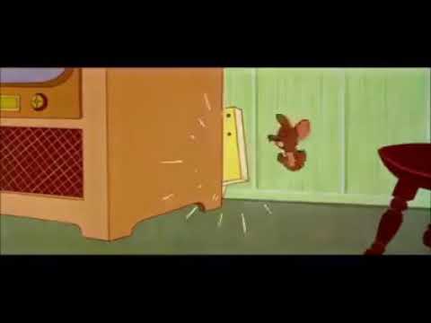 حلقه القط الجبان من توم وجيري