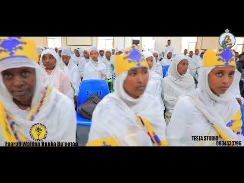 NEW Faaruu Sagalee Dhugaa Waldaa Duuka Bu Ootaa NEW Faaruu Sagalee Dhugaa Waldaa Duuka Bu Ootaa