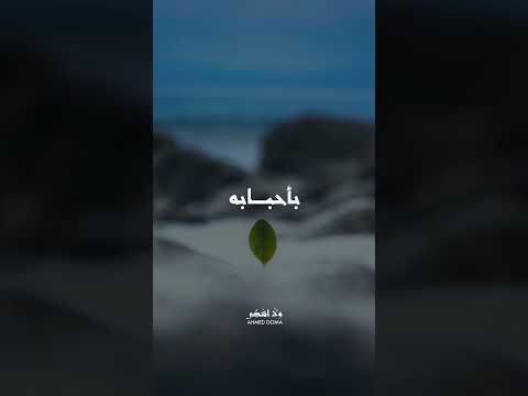 يطول البال وانا رحال Ahmed Doma Music ولا اشكي اكسبلور Foryou احمد دومه حالات واتس معانده
