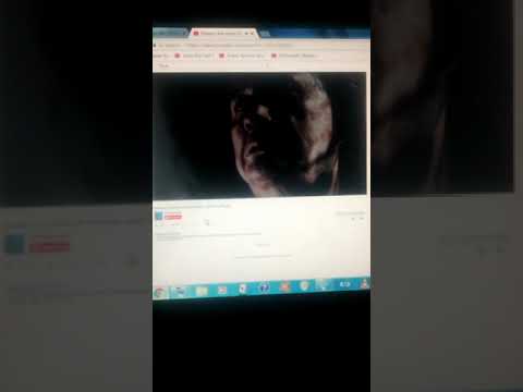 Brother Bear Bears Scene