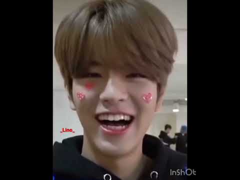 صح اني ستاي بس أكره ذا العضو Straykids Skz ميني هيون ييني لين اطلق ستاي كيدرما Stay Ily احبكم