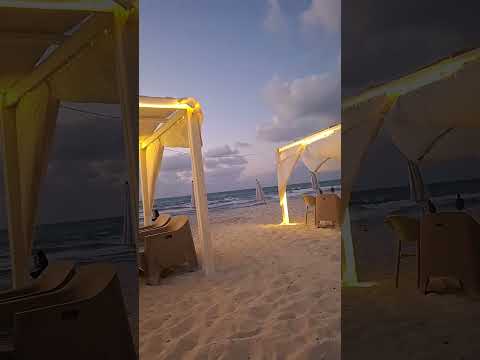 نداء شراره اسف لمين غناء