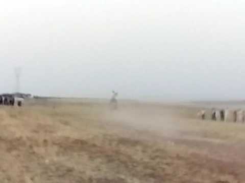 افراح و اعراس المهدية 2