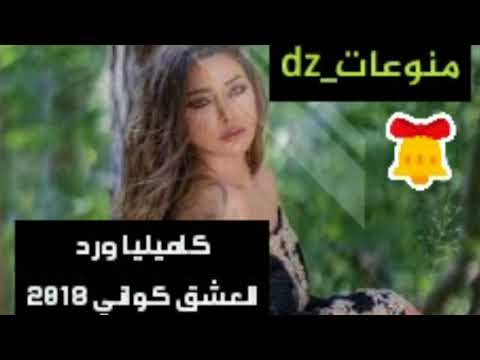 كاميليا ورد العشق كواني 2018