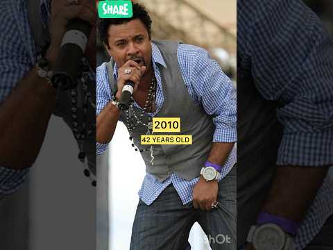 The Evolution Of Shaggy From 1995 2024 Shaggy It Wasn T Me Shaggy Boombastic Shaggy Angel