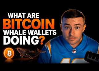  Bitcoin Whale Wallets Are Buying Here S What That Means
