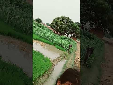 Bhojpuri Music Song E Manva Lage Kahina Je Pagla Re