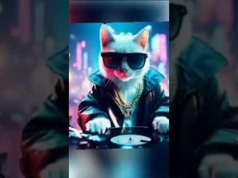 حرب مقاريط مع سكاكين