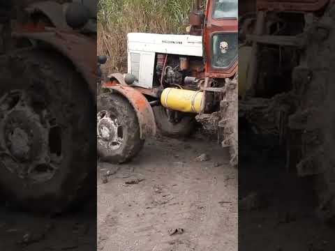 ماذا ستفعل في مثل هذا الموقف