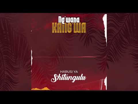 Ng Wana Kang Wa Harusi Kwa Shitungulu Official Song