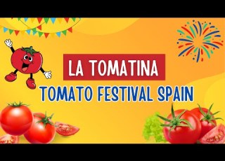 All About LA TOMATINA Tomato Festival Spain The Rules Fun Facts And Origin You Need To Know