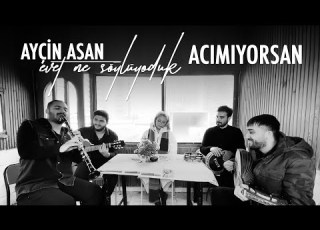  Ayçin Asan Acımıyorsan