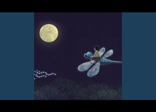  Baby Shark Lullaby Version